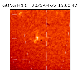 gong - 2025-04-22T15:00:42