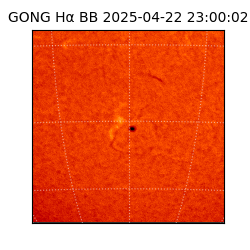 gong - 2025-04-22T23:00:02