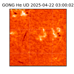 gong - 2025-04-22T03:00:02