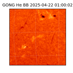 gong - 2025-04-22T01:00:02