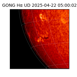 gong - 2025-04-22T05:00:02