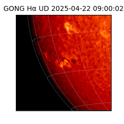 gong - 2025-04-22T09:00:02