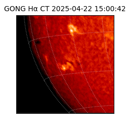 gong - 2025-04-22T15:00:42