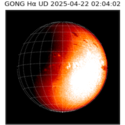gong - 2025-04-22T02:04:02