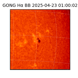 gong - 2025-04-23T01:00:02