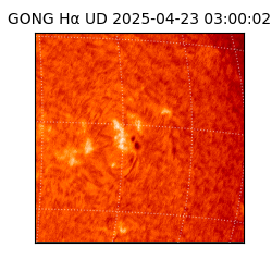 gong - 2025-04-23T03:00:02