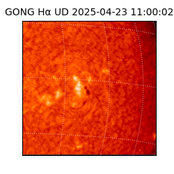 gong - 2025-04-23T11:00:02