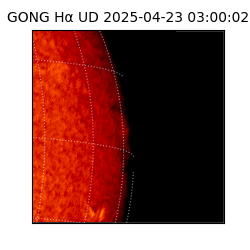 gong - 2025-04-23T03:00:02