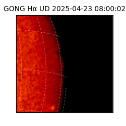 gong - 2025-04-23T08:00:02