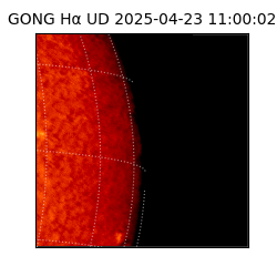 gong - 2025-04-23T11:00:02