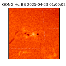 gong - 2025-04-23T01:00:02