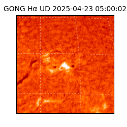 gong - 2025-04-23T05:00:02