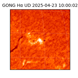 gong - 2025-04-23T10:00:02