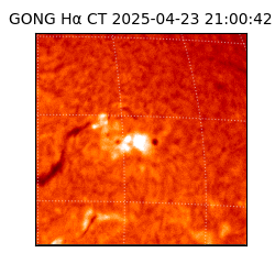 gong - 2025-04-23T21:00:42