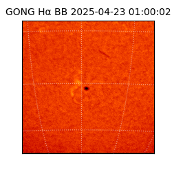 gong - 2025-04-23T01:00:02