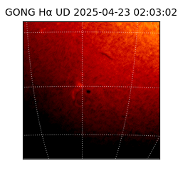 gong - 2025-04-23T02:03:02