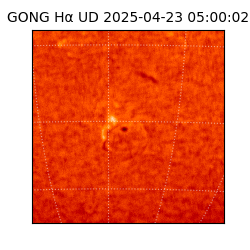 gong - 2025-04-23T05:00:02