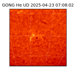 gong - 2025-04-23T07:08:02