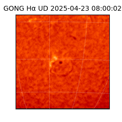 gong - 2025-04-23T08:00:02