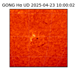 gong - 2025-04-23T10:00:02