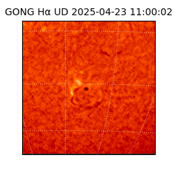 gong - 2025-04-23T11:00:02