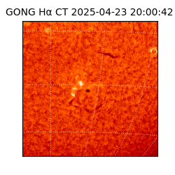 gong - 2025-04-23T20:00:42