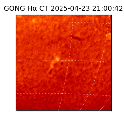 gong - 2025-04-23T21:00:42