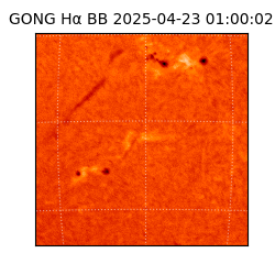 gong - 2025-04-23T01:00:02