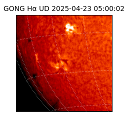 gong - 2025-04-23T05:00:02