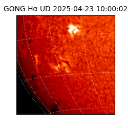 gong - 2025-04-23T10:00:02