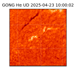 gong - 2025-04-23T10:00:02