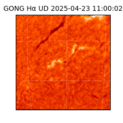 gong - 2025-04-23T11:00:02