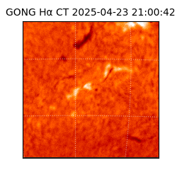 gong - 2025-04-23T21:00:42