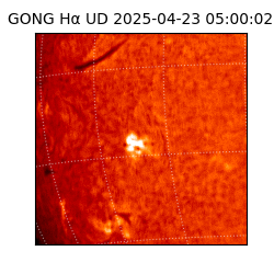 gong - 2025-04-23T05:00:02