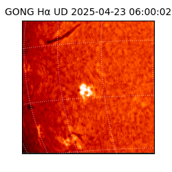 gong - 2025-04-23T06:00:02