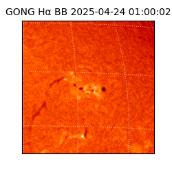 gong - 2025-04-24T01:00:02