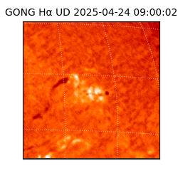 gong - 2025-04-24T09:00:02