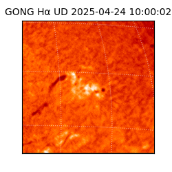 gong - 2025-04-24T10:00:02