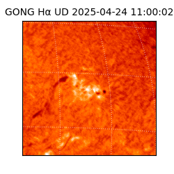 gong - 2025-04-24T11:00:02