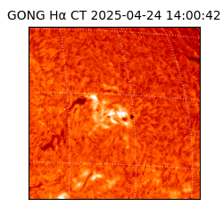 gong - 2025-04-24T14:00:42