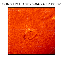 gong - 2025-04-24T12:00:02