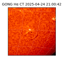 gong - 2025-04-24T21:00:42