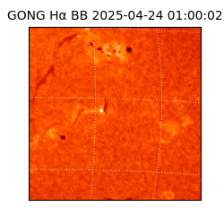 gong - 2025-04-24T01:00:02