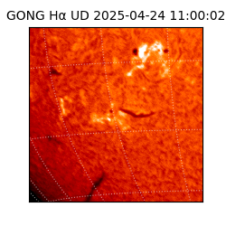 gong - 2025-04-24T11:00:02