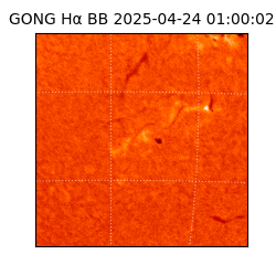 gong - 2025-04-24T01:00:02