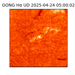 gong - 2025-04-24T05:00:02