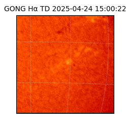gong - 2025-04-24T15:00:22