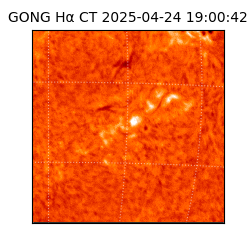 gong - 2025-04-24T19:00:42