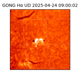 gong - 2025-04-24T09:00:02