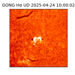 gong - 2025-04-24T10:00:02